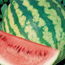 Watermelon - Red 18ct