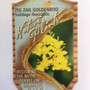 Solidago flexicaulis - Zig Zag Goldenrod 18ct