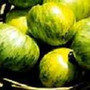 Tomato - Green Zebra HEIRLOOM 18ct