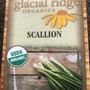 Scallions ORGANIC 18ct