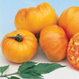 Tomato - Striped German HEIRLOOM 18ct