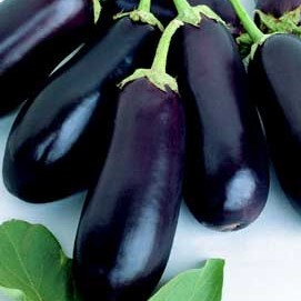 Eggplant - Classic 18ct