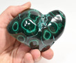 3.70" POLISHED MALACHITE And Chrysocolla Congo B247