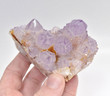 3.74" AMETHYST Cactus Spirit QUARTZ "Video" - South Africa Q694