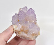 3.74" AMETHYST Cactus Spirit QUARTZ "Video" - South Africa Q694