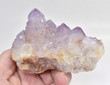 3.74" AMETHYST Cactus Spirit QUARTZ "Video" - South Africa Q694