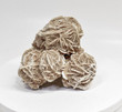 4.64" DESERT ROSE SELENITE Gypsum Cluster Mexico T465