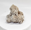 4.64" DESERT ROSE SELENITE Gypsum Cluster Mexico T465
