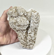 5.62" DESERT ROSE SELENITE Gypsum Cluster Mexico T457