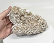 5.62" DESERT ROSE SELENITE Gypsum Cluster Mexico T457