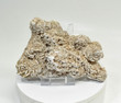 7.75" DESERT ROSE SELENITE Gypsum Cluster Mexico T451