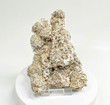 7.75" DESERT ROSE SELENITE Gypsum Cluster Mexico T451