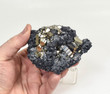 3.46" PYRITE CRYSTAL With Sphalerite Quartz and Cluster Huanzala Mine, Peru T417