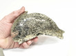 6.02" Polished PYRITE DOLPHIN Carving Huanzala mine, Peru T496
