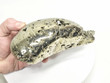 7.08" Polished PYRITE DOLPHIN CARVING Huanzala mine, Peru T497