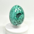 8.77" POLISHED MALACHITE EGG With Stand 14.1 Pounds - Congo - E661