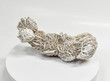 7.08" DESERT ROSE SELENITE Gypsum Cluster Mexico T462