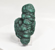 4.68" MALACHITE STALACTITE Cluster - Mindingi Mine, Congo Q714