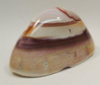 4.64" Polished POLYCHROME JASPER MADAGASCAR n-25