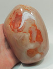 5.31" Polished POLYCHROME JASPER MADAGASCAR n-26