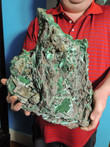 14.5" Amazing 30.80 Pounds MALACHITE and CHRYSOCOLLA Kalukuluku Mine, Congo Q-14