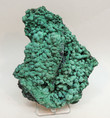 5.6" Unique Formation Of CHRYSOCOLLA & MALACHITE Kalukuluku Mine CONGO L-51