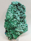 6.8 ' MALACHITE Crystals On CHRYSOCOLLA & MALACHITE Kalukuluku Mine Congo L-49