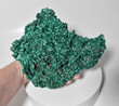 8.07" Excellent Chatoyant Fibrous MALACHITE Mindingi Mine, Congo Q760