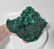 8.07" Excellent Chatoyant Fibrous MALACHITE Mindingi Mine, Congo Q760