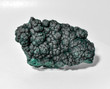 4.48" Fibrous Botryoidal MALACHITE Cluster Mindingi Mine, Congo Q755