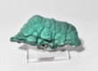 3.38" MALACHITE CLUSTER Mindingi Mine, Congo Q749