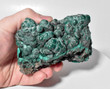 4.25" Shiny BOTRYOIDAL MALACHITE Mindingi Mine, Congo Q756