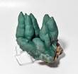 3.26" Amazing MALACHITE STALACTITE CLUSTER Mindingi Mine, Congo Q741