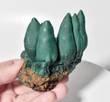 3.26" Amazing MALACHITE STALACTITE CLUSTER Mindingi Mine, Congo Q741