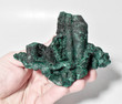 4.44"MALACHITE STALACTITE CLUSTER Mindingi Mine, Congo Q742