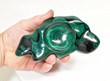 5.70" Polished MALACHITE BOWL Carving Congo CM105
