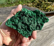 4.88" BotryoidalFibrous MALACHITE Mindingi Mine, Congo Q427