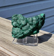 3.03" Beautiful BOTRYOIDAL Sparkly MALACHITE - Congo Q409