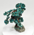 7.08" CHRYSOCOLLA and PYRITE Bonsai Tree Peru T636