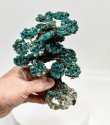 6.69" CHRYSOCOLLA and PYRITE Bonsai Tree Peru T635