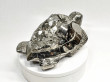 9.72" Polished PYRITE CRYSTAL TURTLE Carving Huanzala mine, Peru T677
