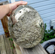 10.23" Amazing XL Golden PYRITE Geode Polished Freeform 42.40 LB - Peru P277