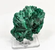 2.79" CHATOYANT FIBROUS MALACHITE Mindingi Mine, Congo Q851