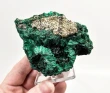 3.89" CHATOYANT FIBROUS MALACHITE With COPPER Mindingi Mine, Congo Q854