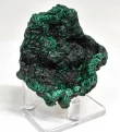 2.55" CHATOYANT FIBROUS MALACHITE Mindingi Mine, Congo Q863