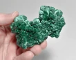 3.18" CHATOYANT FIBROUS Cat Eyes MALACHITE Mindingi Mine, Congo Q858