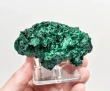 3.14" CHATOYANT FIBROUS MALACHITE Mindingi Mine, Congo Q865