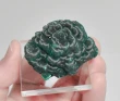 1.92" CHATOYANT FIBROUS MALACHITE Mindingi Mine, Congo Q871