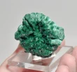 1.92" CHATOYANT FIBROUS MALACHITE Mindingi Mine, Congo Q871