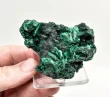 2.32" CHATOYANT FIBROUS MALACHITE Mindingi Mine, Congo Q870